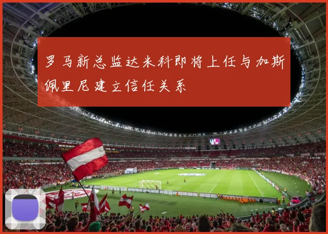 罗马新总监达米科即将上任与加斯佩里尼建立信任关系
