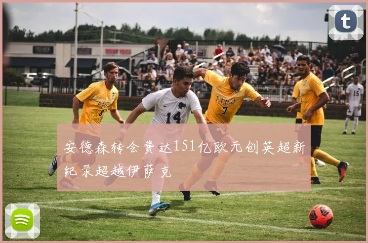 安德森转会费达151亿欧元创英超新纪录超越伊萨克